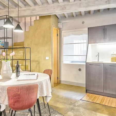 公寓 Casa Colonia - Together In Tuscany 哥尔顿